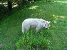 DSCF2636