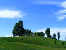DSCF0631