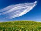 Flori_Desktop_Wallpapers_Poze_cu_Flori_Clouds_Sweeping