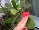 Picture 012