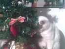Imag057