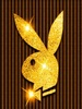 Gold_Playboy
