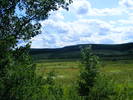 DSCF4021