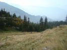 DSC00325