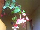 Picture 012