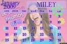 hannah montana (2)