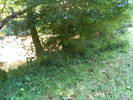 DSCF2650
