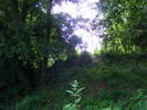 DSCF2622