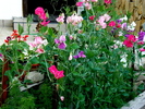 P6280042