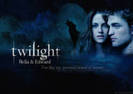 12-TwIlIgHt