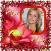 frametoy_20091122171733QUX8