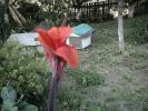 STKI0046