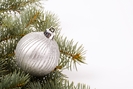 shutterstock_7697077[1]