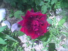 Imag023