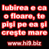 iubirea e ac o ploare te pisi pe ea si creste mare