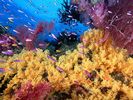 nature wallpapers (90)