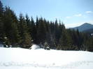 DSC02835