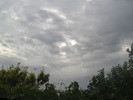 Picture 290