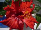 P1020781