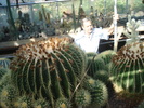 DSC03871