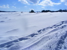 DSCF6931
