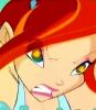 Copie (2) a bloom7