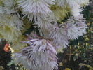 DSC00158