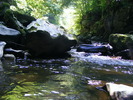 DSCF5279