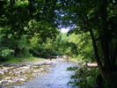 DSCF5031
