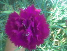 Imag041