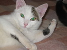 23 dec 2007 021