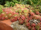 DSC01648
