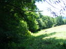DSCF2645