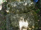 DSCF0581
