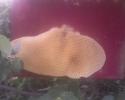 11-06-08_0552