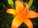 DSCI0744