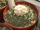 DSCF0846