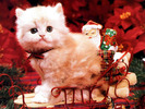 Christmas Wallpapers (288)