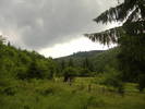 DSCF6000