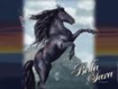 cavallo bellasara 5