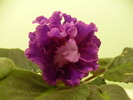 P1170187