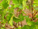 DSCN1655