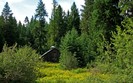 Planet Scenes 179