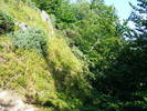 DSCF4500