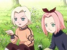 inosakura2