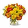 images_4