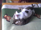 Imag008