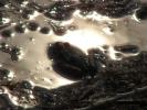 DSC00750