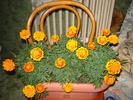 DSC02684