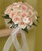 2628416990052041377YUBPbY_ph
